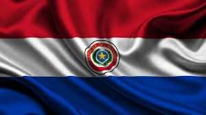 bandera de paraguay. donde votar
