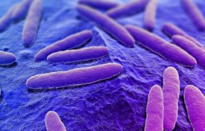 Cómo saber si tengo Lombrices